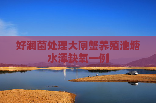 好润菌处理大闸蟹养殖池塘水浑缺氧一例