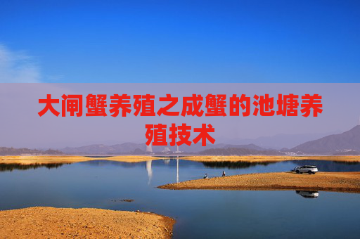 大闸蟹养殖之成蟹的池塘养殖技术