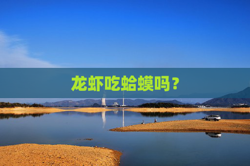 龙虾吃蛤蟆吗？