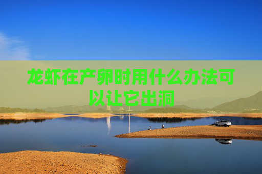 龙虾在产卵时用什么办法可以让它出洞 龙虾在产卵时用什么办法可以让它出洞