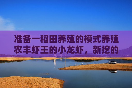 准备一稻田养殖的模式养殖农丰虾王的小龙虾，新挖的稻田要注意什么？