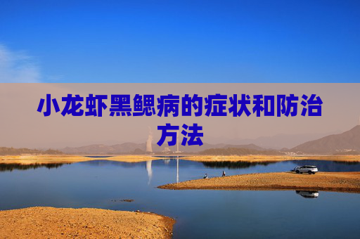 小龙虾黑鳃病的症状和防治方法