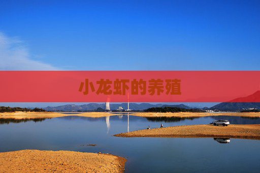 小龙虾的养殖