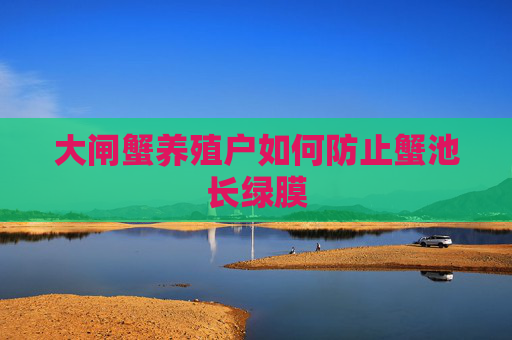 大闸蟹养殖户如何防止蟹池长绿膜