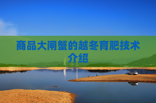 商品大闸蟹的越冬育肥技术介绍