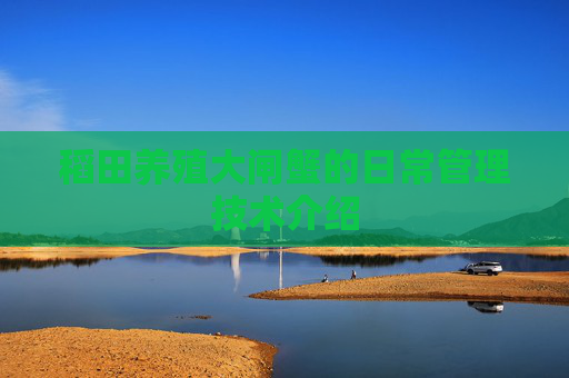 稻田养殖大闸蟹的日常管理技术介绍
