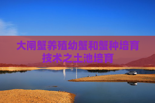 大闸蟹养殖幼蟹和蟹种培育技术之土池培育