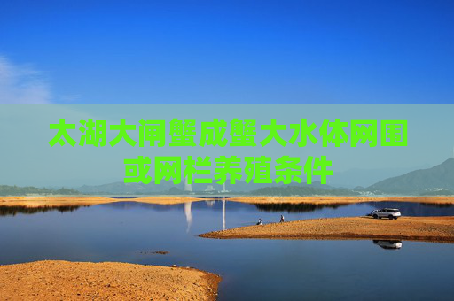 太湖大闸蟹成蟹大水体网围或网栏养殖条件