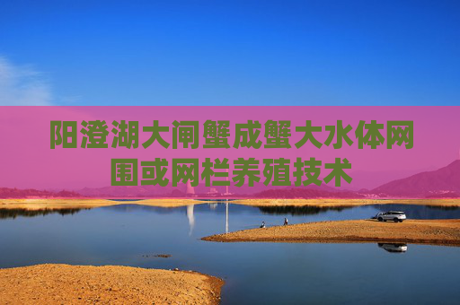 阳澄湖大闸蟹成蟹大水体网围或网栏养殖技术