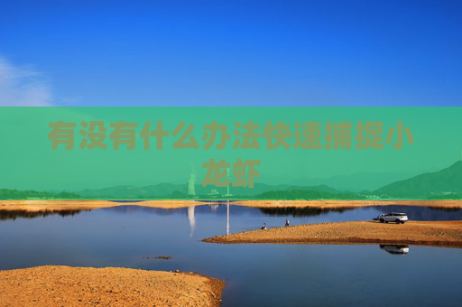 有没有什么办法快速捕捉小龙虾