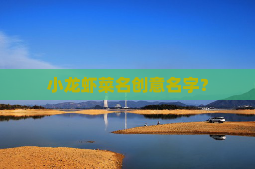 小龙虾菜名创意名字?