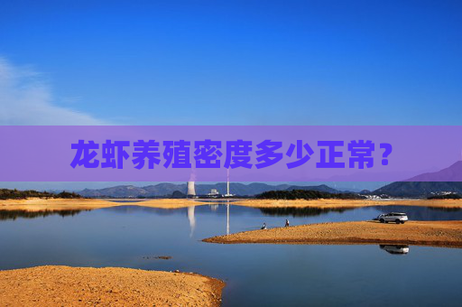 龙虾养殖密度多少正常？