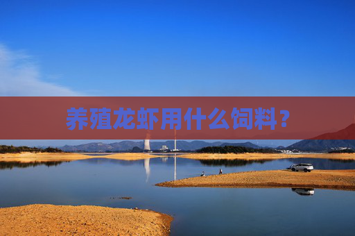 养殖龙虾用什么饲料？
