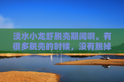 淡水小龙虾脱壳期间啊。有很多脱壳的时候，没有脱掉，反而还死掉了，是什么原因照成