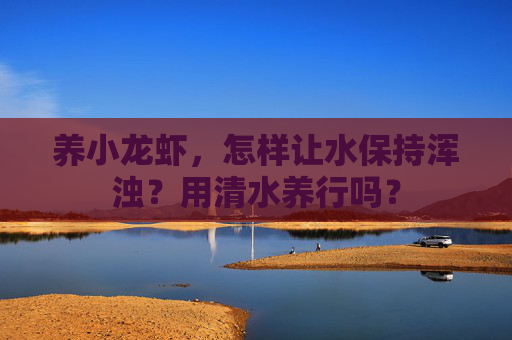 养小龙虾，怎样让水保持浑浊？用清水养行吗？