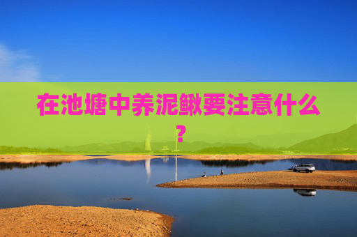 在池塘中养泥鳅要注意什么？