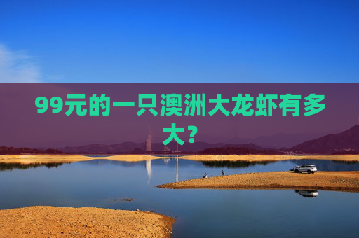 99元的一只澳洲大龙虾有多大？