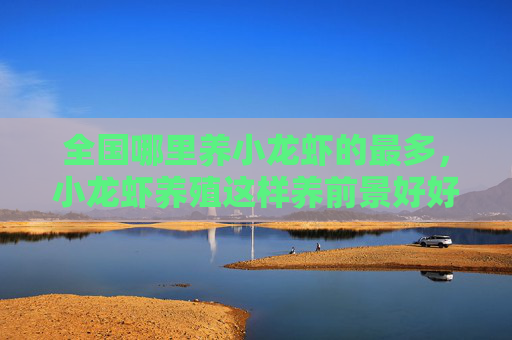 全国哪里养小龙虾的最多，小龙虾养殖这样养前景好好？