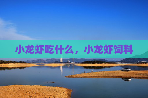 小龙虾吃什么，小龙虾饲料