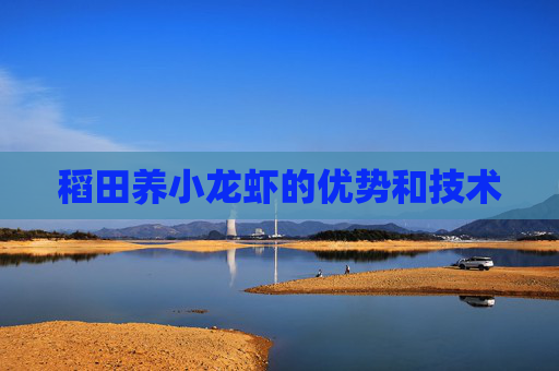稻田养小龙虾的优势和技术
