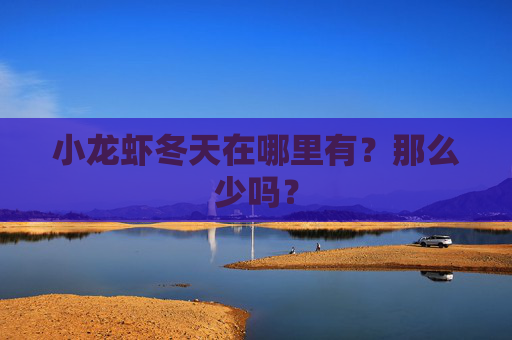 小龙虾冬天在哪里有？那么少吗？