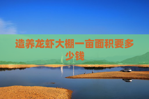 造养龙虾大棚一亩面积要多少钱