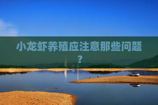 小龙虾养殖应注意那些问题？