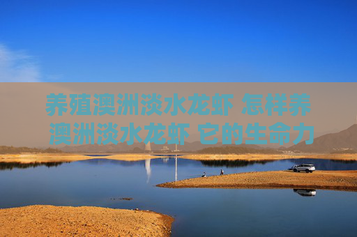 养殖澳洲淡水龙虾 怎样养 澳洲淡水龙虾 它的生命力强不强？拜托各位了 3Q