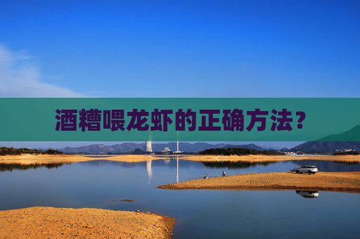 酒糟喂龙虾的正确方法？