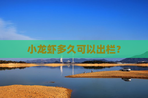 小龙虾多久可以出栏？