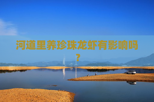 河道里养珍珠龙虾有影响吗？