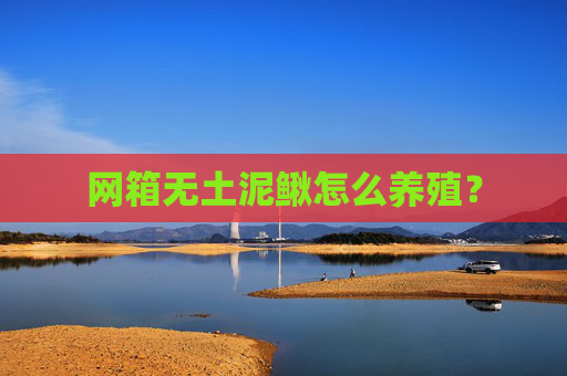 网箱无土泥鳅怎么养殖？