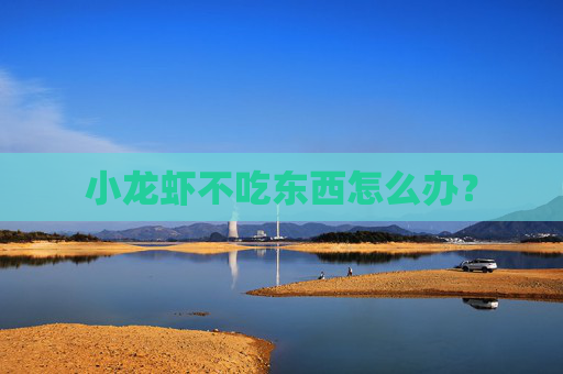 小龙虾不吃东西怎么办？