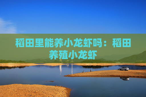 稻田里能养小龙虾吗：稻田养殖小龙虾