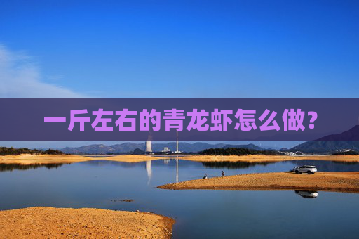 一斤左右的青龙虾怎么做？