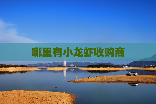 哪里有小龙虾收购商