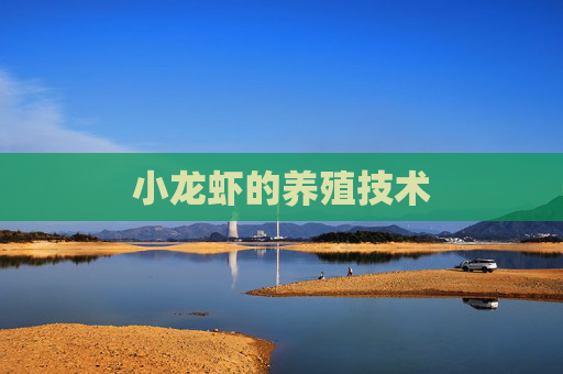小龙虾的养殖技术