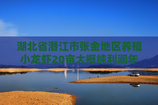 湖北省潜江市张金地区养殖小龙虾20亩大概纯利润年收入多少