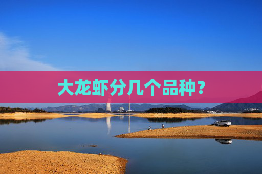 大龙虾分几个品种？