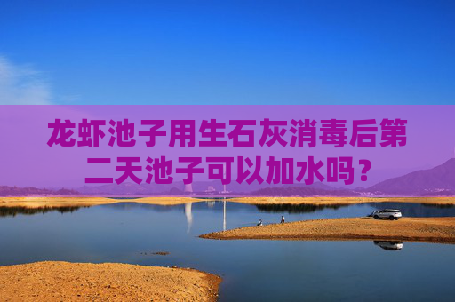 龙虾池子用生石灰消毒后第二天池子可以加水吗?