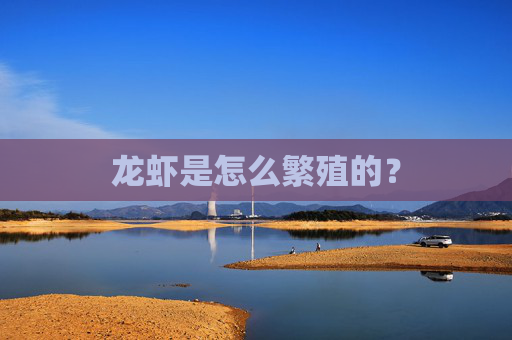 龙虾是怎么繁殖的？