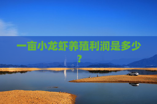 一亩小龙虾养殖利润是多少？