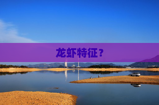 龙虾特征？