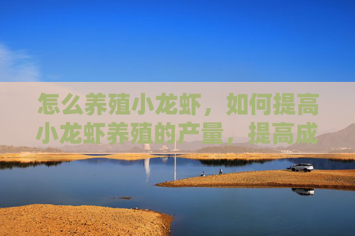 怎么养殖小龙虾,如何提高小龙虾养殖的产量,提高成活率? 怎么养殖小龙虾,如何提高小龙虾养殖的产量,提高成活率?