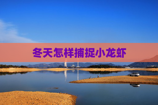 冬天怎样捕捉小龙虾