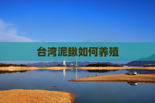 台湾泥鳅如何养殖