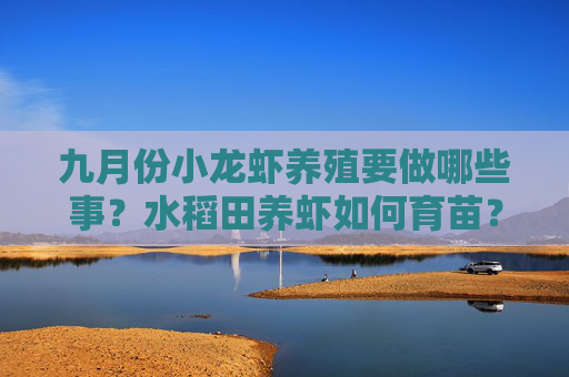 九月份小龙虾养殖要做哪些事？水稻田养虾如何育苗？
