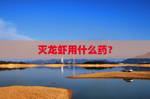 灭龙虾用什么药? 灭龙虾用什么药?