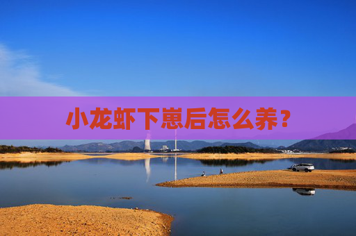 小龙虾下崽后怎么养？