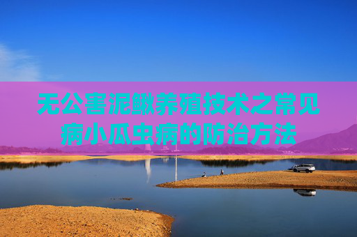 无公害泥鳅养殖技术之常见病小瓜虫病的防治方法
